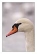 Click to view section